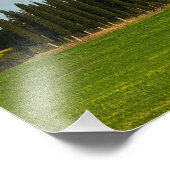 Cypersbomen in Toscane, verticale fotoafdrukken Foto Afdruk (Hoek)