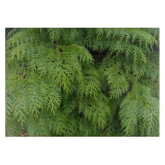 Cypersbomen Snijplank (Voorkant)