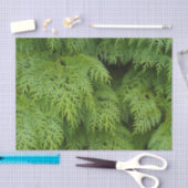 Cypersbomen Tissuepapier (Craft)