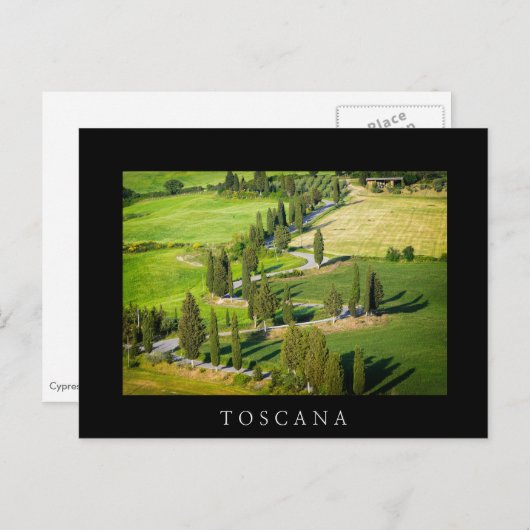 Cyperwikkelweg in het zwarte briefkaart van Toscan (Voorkant / Achterkant)