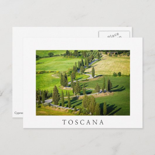Cyperwikkelweg in Toscane, wit briefkaart (Voorkant / Achterkant)