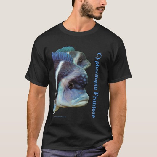 Cyphotilapia frontosa t-shirt (Voorkant)