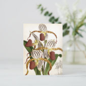 Cyprepedium Stonei  Lindenia Orchid Feestdagenkaart (Staand voorkant)