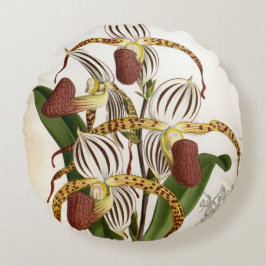 Cyprepedium Stonei  Lindenia Orchid Rond Kussen