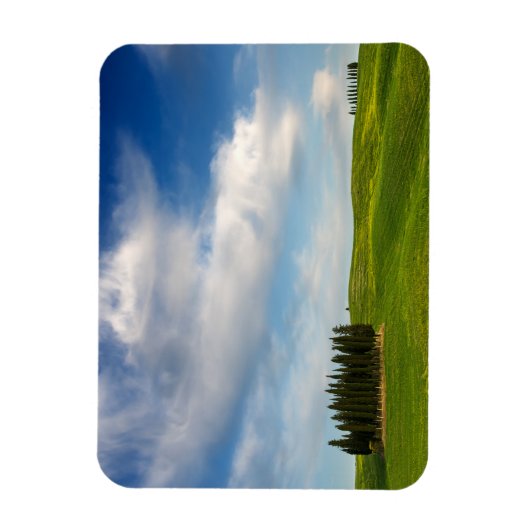 Cypresbomen in Toscane rechthoekige magneet (Verticaal)