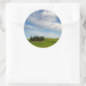 Cypresbomen in Toscane rond de sticker (Tas)