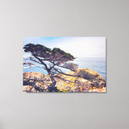 Cypress aan de Zee Canvas Afdruk