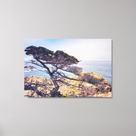 Cypress aan de Zee Canvas Afdruk (Voorkant)