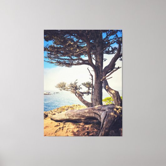 Cypress bij het Zee Canvas Afdruk (Voorkant)
