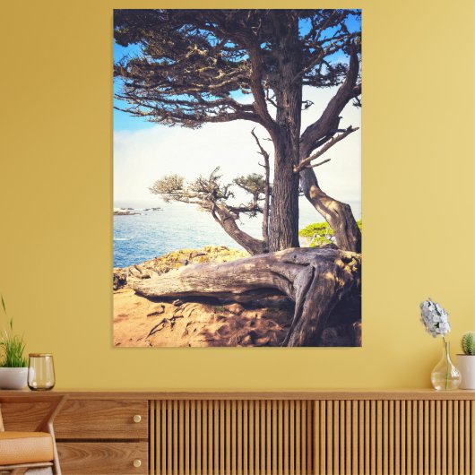 Cypress bij het Zee Canvas Afdruk (Insitu (Woonkamer))