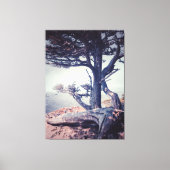 Cypress bij het Zee Canvas Afdruk (Voorkant)
