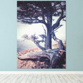 Cypress bij het Zee Canvas Afdruk (Insitu (Houten vloer))