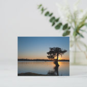 Cypress bij Sunset Briefkaart (Staand voorkant)