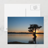Cypress bij Sunset Briefkaart (Voorkant / Achterkant)