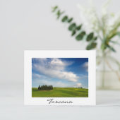 Cypress bomen in Toscane in de zomer Briefkaart (Staand voorkant)