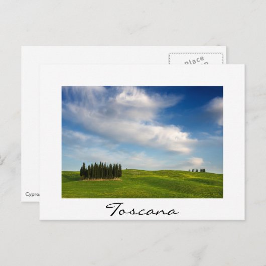 Cypress bomen in Toscane in de zomer Briefkaart (Voorkant / Achterkant)