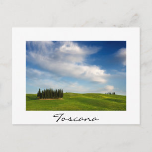 Cypress bomen in Toscane in de zomer Briefkaart