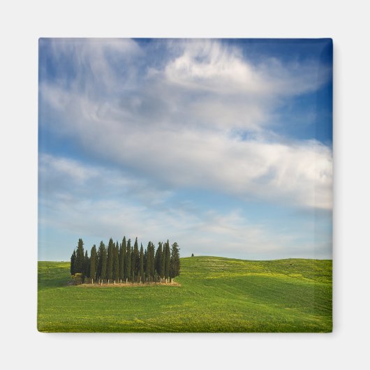 Cypress bomen in Toscane magneet (Voorkant)