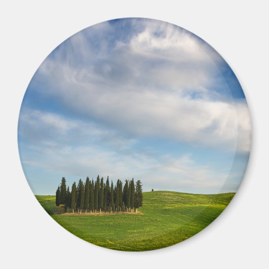 Cypress bomen in Toscane ronde magneet (Voorkant)