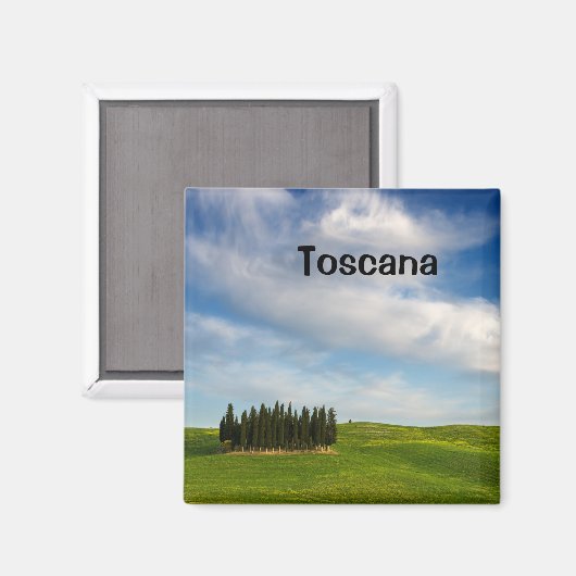 Cypress-bomen in Toscane tekstmagneet Magneet (Voorkant / Achterkant)