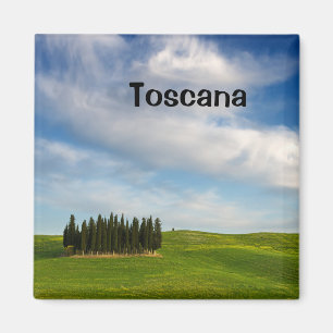 Cypress-bomen in Toscane tekstmagneet Magneet