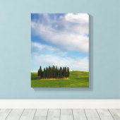 Cypress bomen in Toscane verticaal canvas Afdruk (Insitu (Houten vloer))