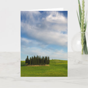 Cypress bomen in Toscane verticaal wenskaart Kaart