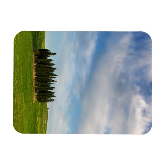 Cypress bomen in Toscane verticale magneet (Horizontaal)