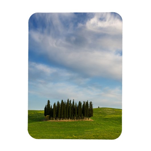 Cypress bomen in Toscane verticale magneet (Verticaal)