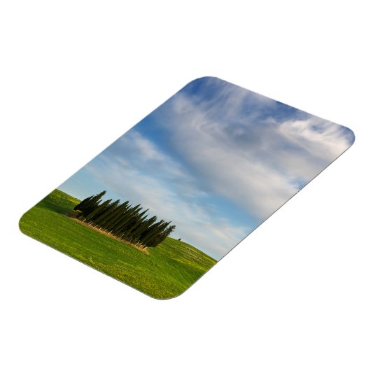 Cypress bomen in Toscane verticale magneet (Linkerzijde)