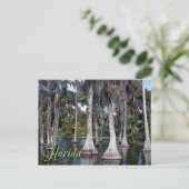 Cypress-bomen in Winter Haven, Florida Briefkaart (Staand voorkant)