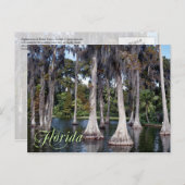 Cypress-bomen in Winter Haven, Florida Briefkaart (Voorkant / Achterkant)