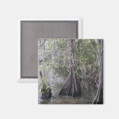 Cypress Bomen Magnet (Voorkant / Achterkant)