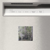 Cypress Bomen Magnet (Insitu (Vaatwasser))