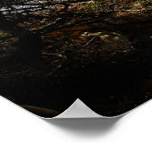 Cypress Coast Print (Hoek)