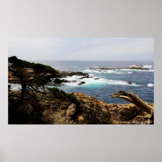 Cypress Coast Print (Voorkant)