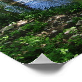 Cypress Creek Poster (Hoek)