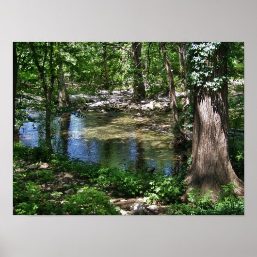 Cypress Creek Poster (Voorkant)