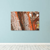 Cypress en Alga Canvas Afdruk (Insitu (Houten vloer))