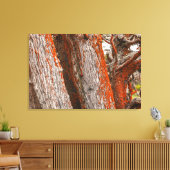 Cypress en Alga Canvas Afdruk (Insitu (Woonkamer))