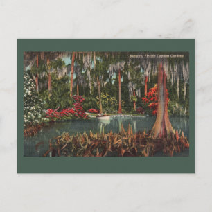 Cypress Gardens  Briefkaart
