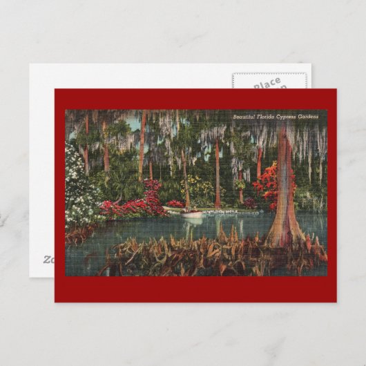 Cypress Gardens  Briefkaart (Voorkant / Achterkant)