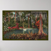 Cypress Gardens Florida Canvas Print (Voorkant)