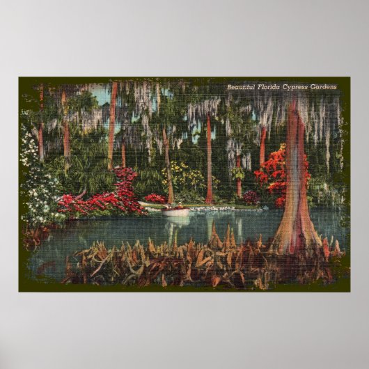 Cypress Gardens Florida Canvas Print (Voorkant)