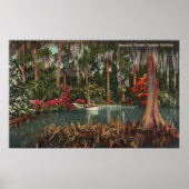 Cypress Gardens Florida Poster (Voorkant)