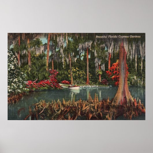 Cypress Gardens Florida Poster (Voorkant)
