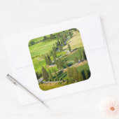 Cypress gevoerde kronkelende weg in Toscaanse stic Vierkante Sticker (Envelop)