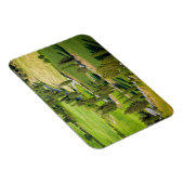 Cypress gevoerde weg in Toscane rechthoekige magne Magneet (Rechterzijde)