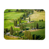 Cypress gevoerde weg in Toscane rechthoekige magne Magneet (Horizontaal)