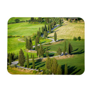 Cypress gevoerde weg in Toscane rechthoekige magne Magneet